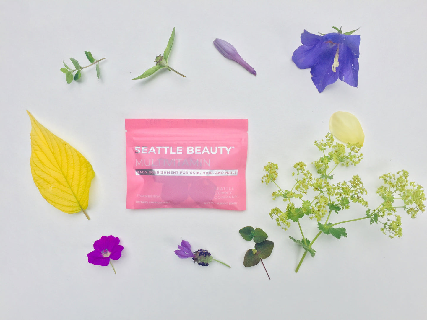 Multivitamin Gummy with Angelica | Melon (12-Pack) - Wellness Works