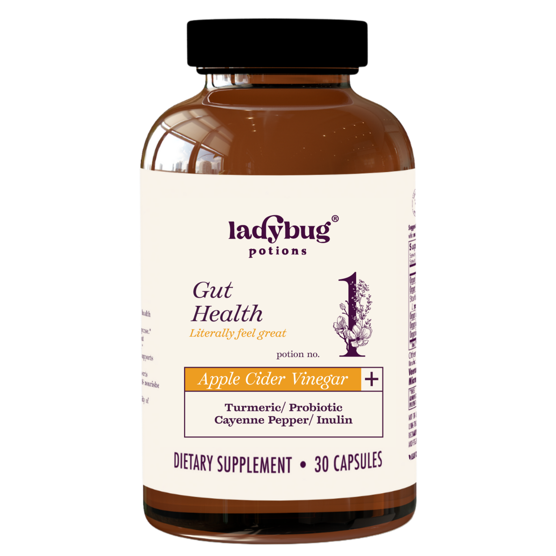 Potion No. 1 Gut Health & Digestive Support - Wellness Works