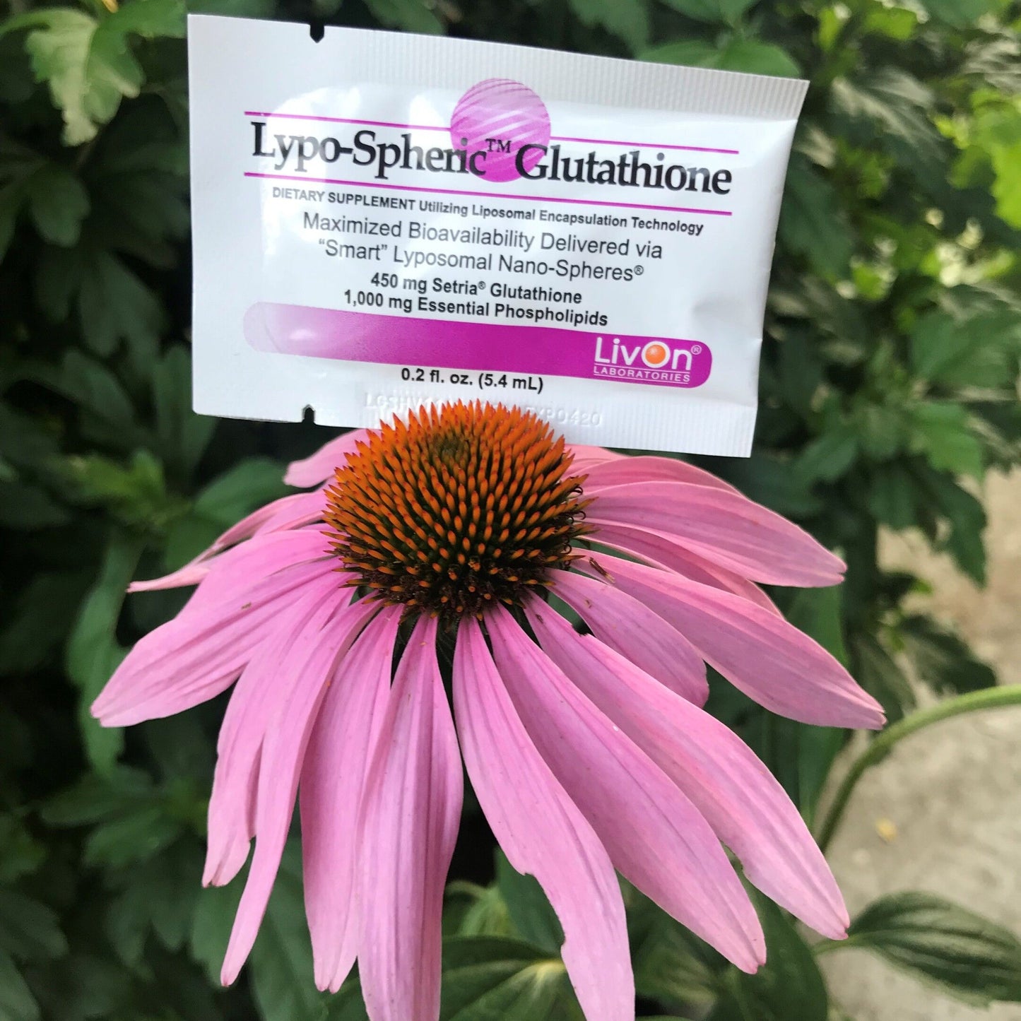Lypo-Spheric Glutathione supplement packet on a pink flower with green leaves in the background