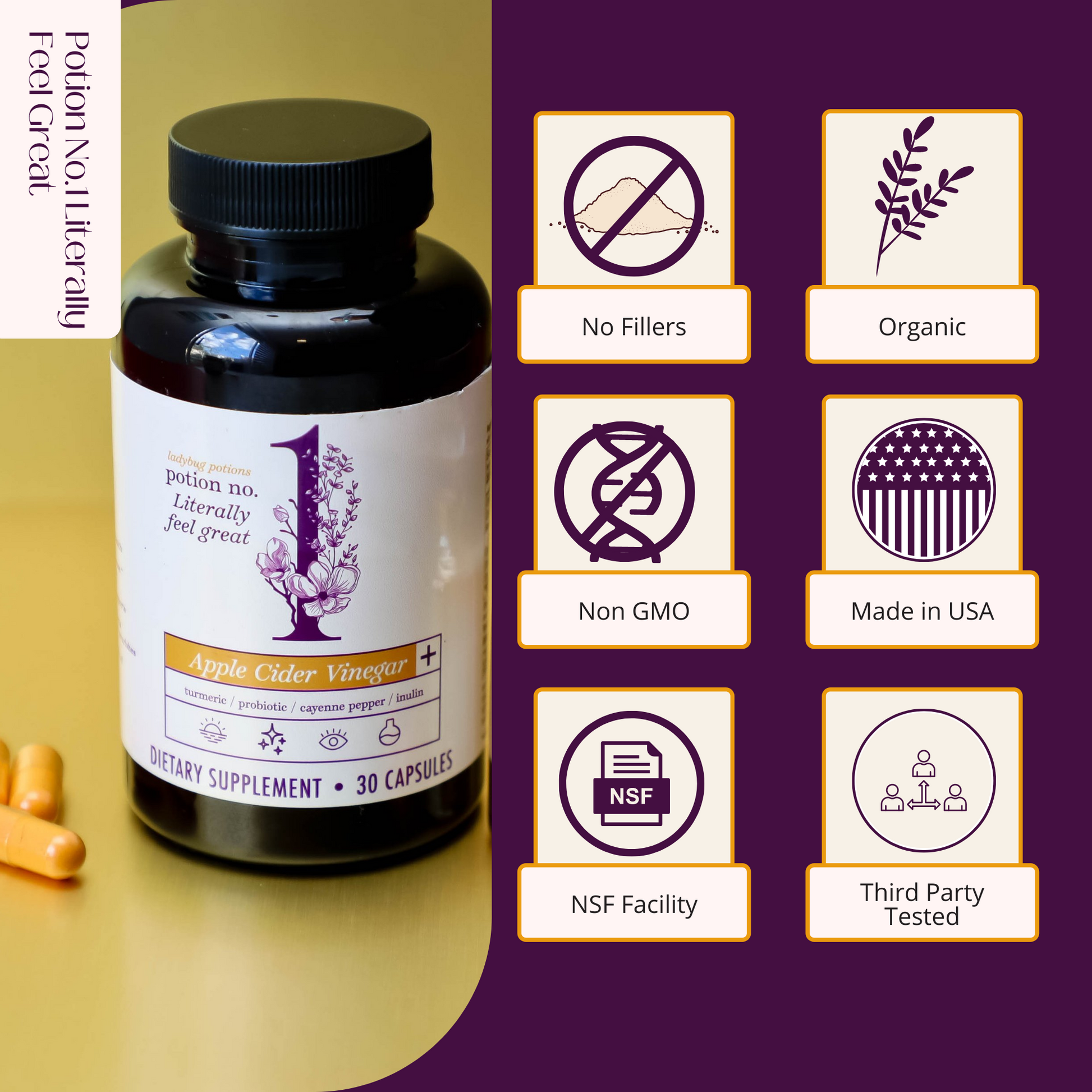 Potion No. 1 Gut Health & Digestive Support - Wellness Works